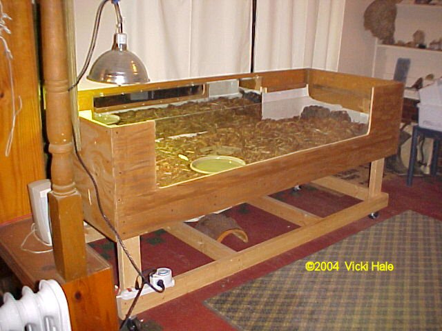 tortoise table