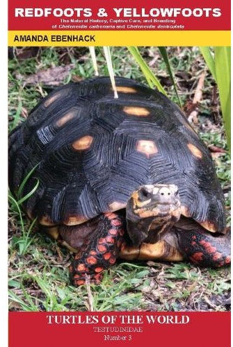 Redfoot And Yellowfoot tortoises